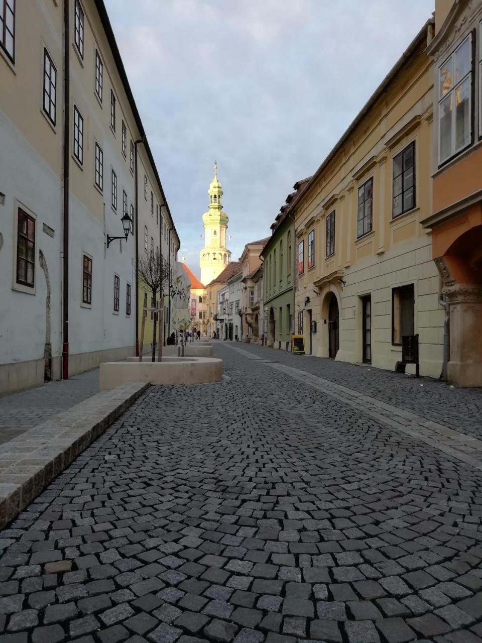 Füredi Ház apartman Apartman Sopron Kültér fotó